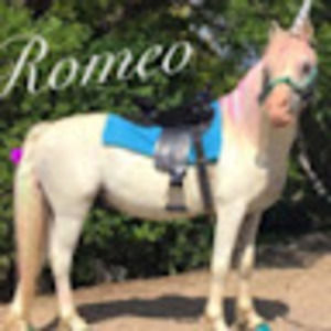 Meet your Posher, Malana